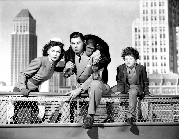 Tarzán en Nueva York (1942)